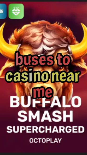 buses to casino near me-w4cy2mdjlx2bf.com